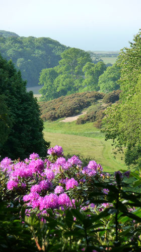 Sheringham Park